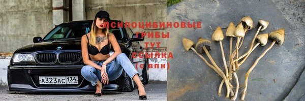 сатива Наволоки