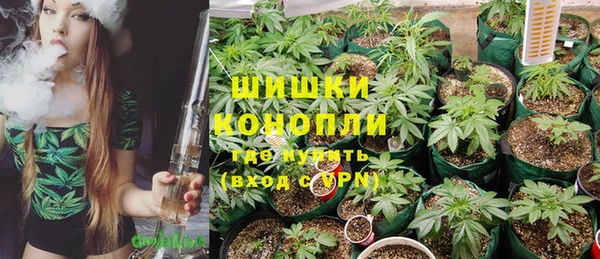сатива Наволоки