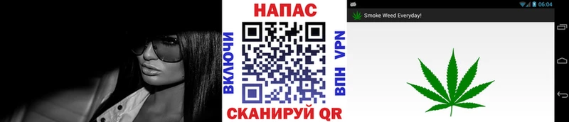 Конопля SATIVA & INDICA Гдов